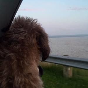 Meet your Posher, Ruth